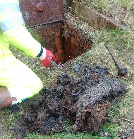 Unblocking roots from a drain